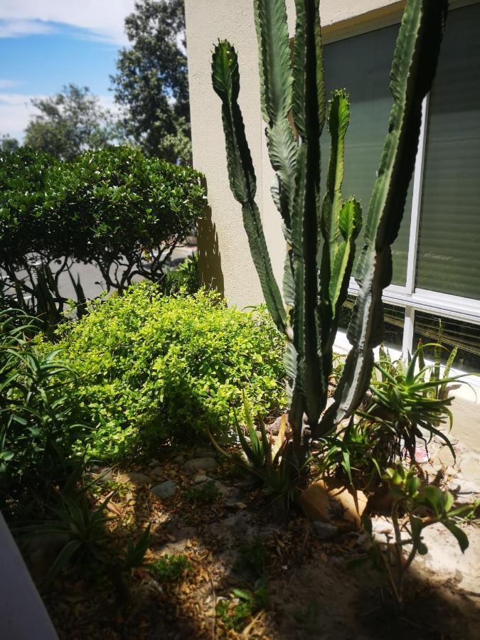 Cape Town Family Beachfront Apartment Leisure Bay 외부 사진
